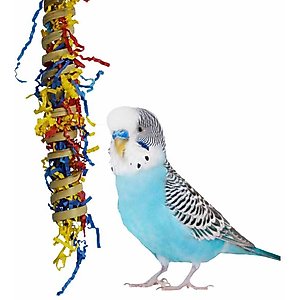 Super Bird Creations Fiesta Millet Holder Bird Toy, Small/Medium