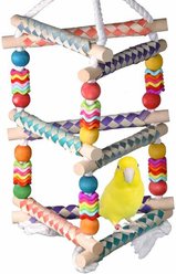 Super Bird Creations Finger Trap Pagoda Bird Toy, Small/Medium