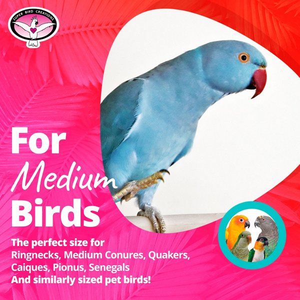 Super Bird Creations Finger Trap Pagoda Bird Toy, Small/Medium