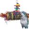 Show in main carousel: Super Bird Creations Firecracker Jr. Bird Toy slide 1 of 9
