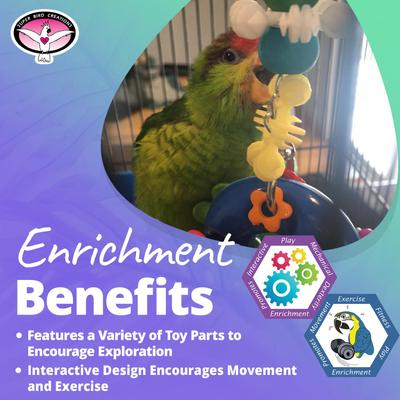 Show full view: Super Bird Creations Flower Power Bird Toy slide 5 of 10