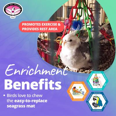 Show full view: Super Bird Creations Flying Trapeze Bird Toy, Medium slide 4 of 10