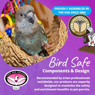 Show full view: Super Bird Creations Flying Trapeze Bird Toy, Medium slide 7 of 10