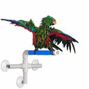 Super Bird Creations Fold Away Shower Window Bird Perch, Medium/Large
