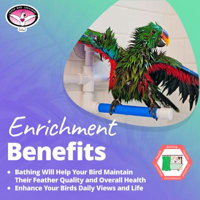 Show full view: Super Bird Creations Fold Away Shower Window Bird Perch, Medium/Large slide 5 of 9