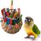 Show in main carousel: Super Bird Creations Foraging Basket Bird Toy, Medium slide 1 of 11