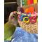 Show in main carousel: Super Bird Creations Foraging Basket Bird Toy, Medium slide 4 of 11