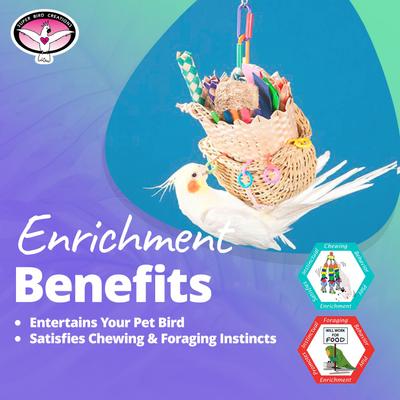 Show full view: Super Bird Creations Foraging Basket Bird Toy, Medium slide 5 of 11