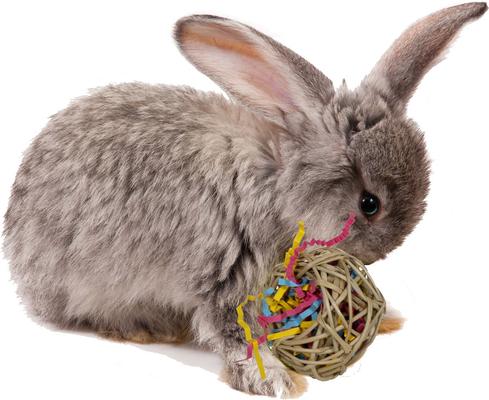 Show full view: Super Bird Creations Foraging Basket Small Pet Toy slide 4 of 4