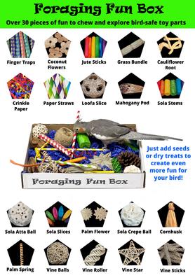 Show full view: Super Bird Creations Foraging Fun Box Conure Foraging Toy slide 2 of 6