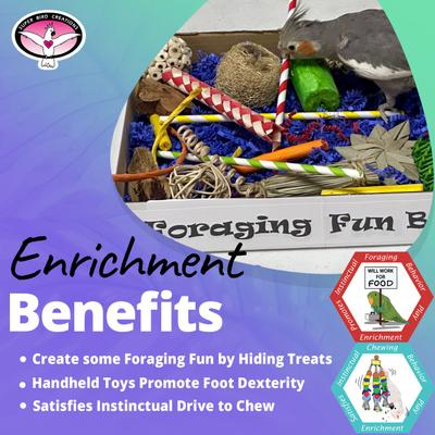 Show full view: Super Bird Creations Foraging Fun Box Conure Foraging Toy slide 4 of 6