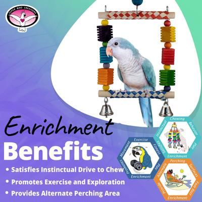 Show full view: Super Bird Creations Groovin' Swing Bird Toy slide 3 of 7