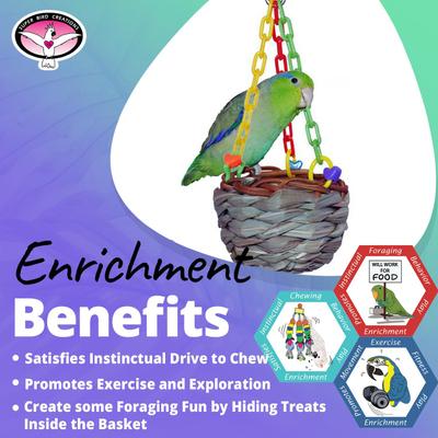 Show full view: Super Bird Creations Hanging Treat Basket Bird Toy slide 3 of 8
