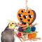 Show in main carousel: Super Bird Creations Heart Conure Foraging Toy slide 1 of 7