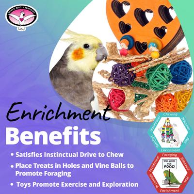 Show full view: Super Bird Creations Heart Conure Foraging Toy slide 5 of 7