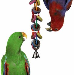 Super Bird Creations Hoopla Bird Toy, Medium/Large slide 1 of 8