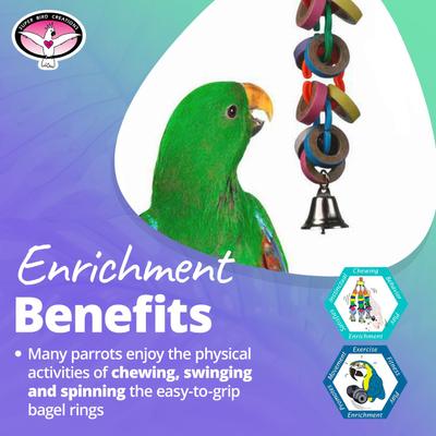 Show full view: Super Bird Creations Hoopla Bird Toy, Medium/Large slide 4 of 9