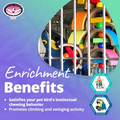 Show full view: Super Bird Creations Humdinger Bird Toy, X-Large slide 5 of 10