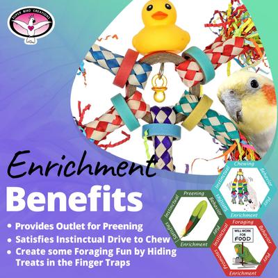 Show full view: Super Bird Creations Just Ducky Conure Preening Toy slide 5 of 7