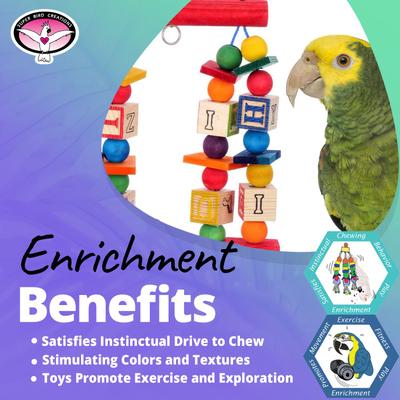 Show full view: Super Bird Creations Katy's ABC Chewable Bird Toy slide 5 of 7