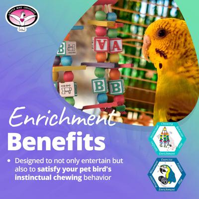 Show full view: Super Bird Creations Katy's ABCs Jr. Bird Toy slide 5 of 10