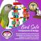 Show in main carousel: Super Bird Creations Katy's ABCs Jr. Bird Toy slide 8 of 10
