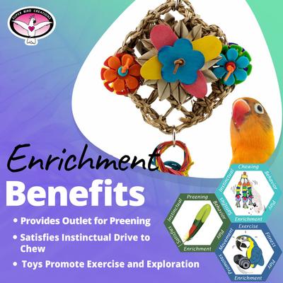 Show full view: Super Bird Creations Kite Tails Conure Preening Toy slide 5 of 7