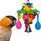 Show in main carousel: Super Bird Creations Maraca Blast Bird Toy slide 1 of 7