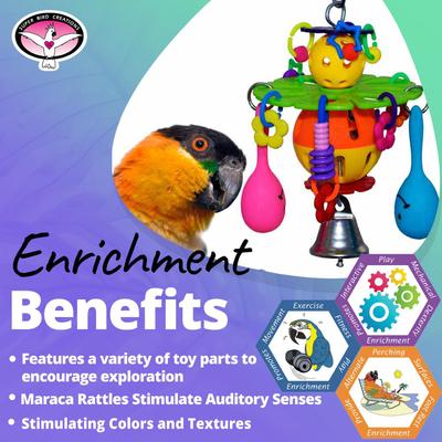 Show full view: Super Bird Creations Maraca Blast Bird Toy slide 3 of 7