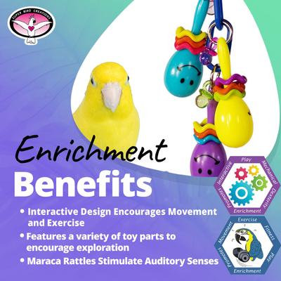 Show full view: Super Bird Creations Maraca Mania Bird Toy slide 3 of 7