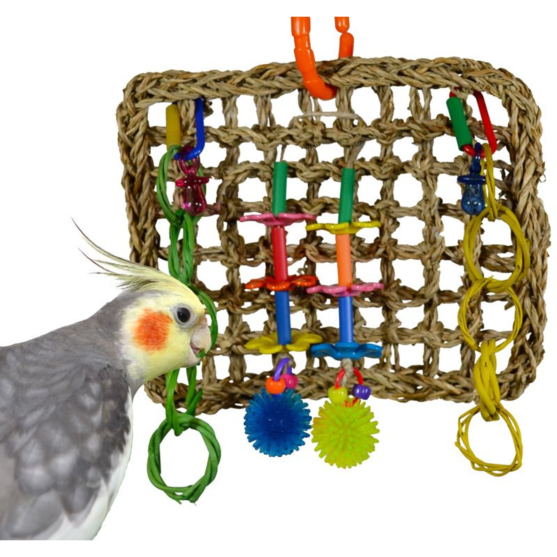 Super Bird Creations Mini Activity Wall Bird Toy, Medium