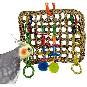 Super Bird Creations Mini Activity Wall Bird Toy, Medium