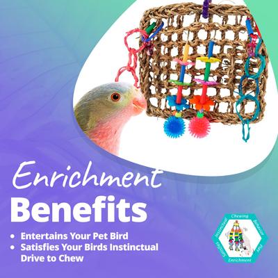 Show full view: Super Bird Creations Mini Activity Wall Bird Toy, Medium slide 4 of 10