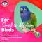 Show in main carousel: Super Bird Creations Mini Activity Wall Bird Toy, Medium slide 5 of 10