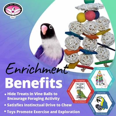 Show full view: Super Bird Creations Mini Starburst Bird Toy, Small slide 5 of 10