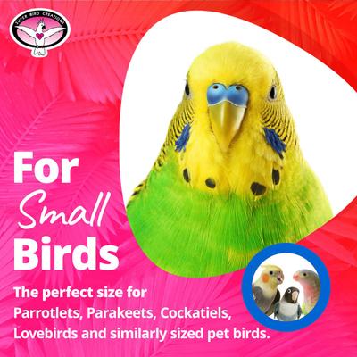 Show full view: Super Bird Creations Mini Starburst Bird Toy, Small slide 6 of 10