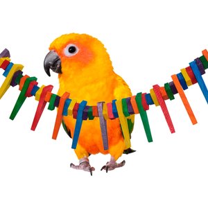 Super Bird Creations Mini Triangle Teaser Bird Toy, Medium