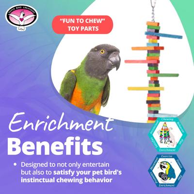 Show full view: Super Bird Creations Mini Triangle Teaser Bird Toy, Medium slide 4 of 10