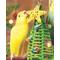 Show in main carousel: Super Bird Creations Mini Xmas Tree Bird Toy slide 3 of 9