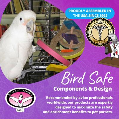 Show full view: Super Bird Creations Olympic Rings Bird Toy, Large slide 8 of 11