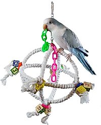 Super Bird Creations Orbiter Bird Toy