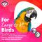 Show in main carousel: Super Bird Creations Paper Party Bird Toys, X-Large, 1 count slide 5 of 10