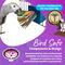Show in main carousel: Super Bird Creations Paper Party Bird Toys, X-Large, 1 count slide 7 of 10