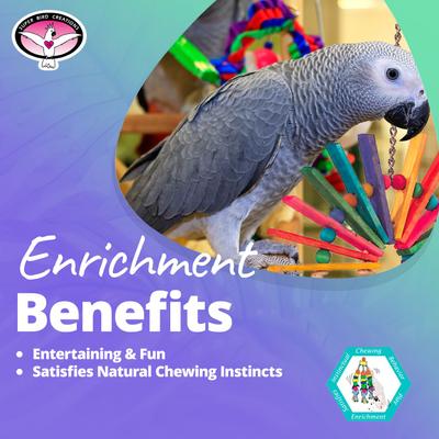 Show full view: Super Bird Creations Peacock Senior Bird Toy, Large slide 4 of 10