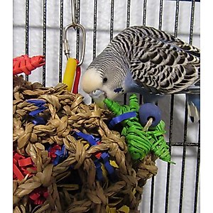 Super Bird Creations Pickin' Pocket Bird Toy