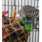 Show in main carousel: Super Bird Creations Pickin' Pocket Bird Toy slide 4 of 10