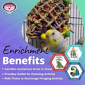Super Bird Creations Pickin' Pocket Bird Toy