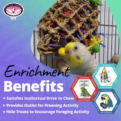 Show full view: Super Bird Creations Pickin' Pocket Bird Toy slide 5 of 10