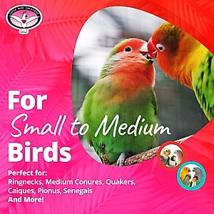 Super Bird Creations Pickin' Pocket Bird Toy