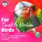 Show in main carousel: Super Bird Creations Pickin' Pocket Bird Toy slide 6 of 10